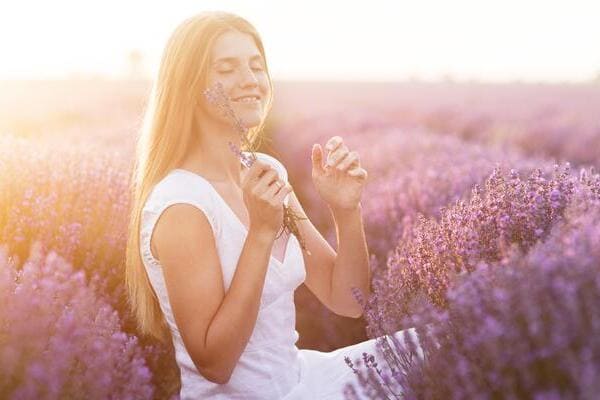 Los beneficios ocultos de la lavanda